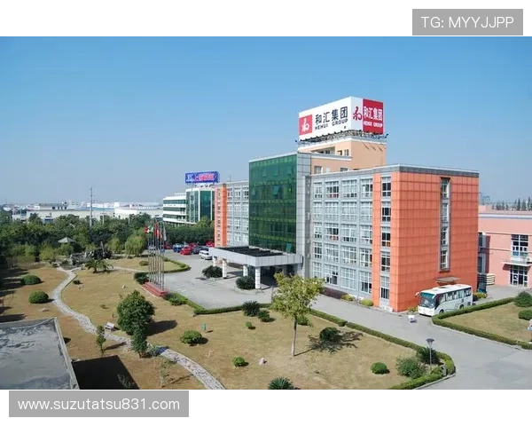 凯发集团有限公司：在全球市场中的竞争优势与品牌建设