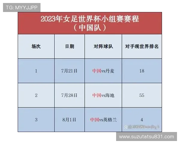 世界杯巴西对海地比赛红黄牌规则全攻略，裁判判罚标准及其对比赛走势的影响